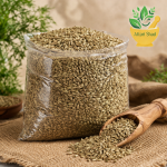 خرید گیاه تخم شوید عطاری